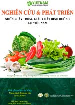 View Potentially Important Food Plants of Vietnam – (Vietnamese)