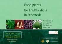 Food Plants for Healthy Diets in Indonesia