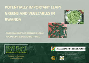Potentially Important Leafy Greens and Vegetables of Rwanda