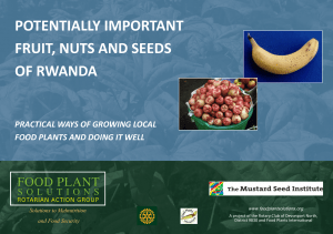 Potentially Important Fruit, Nuts and Seeds of Rwanda