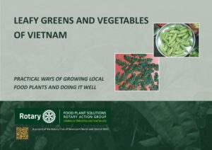 Leafy Greens and Vegetables of Vietnam