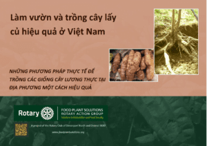 Good gardening and root crops of Vietnam