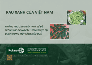 Leafy Greens and Vegetables of Vietnam