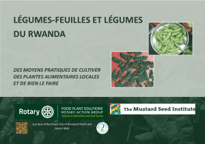 Leafy Greens and Vegetables of Rwanda - Translated Kinyarwanda